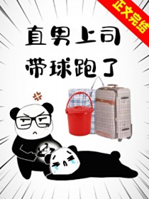 直男上司带球跑了