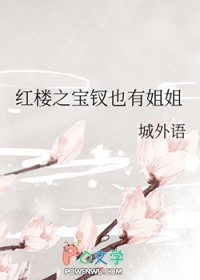 [红楼梦同人] 红楼之宝钗也有姐姐