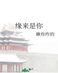 缘来是你