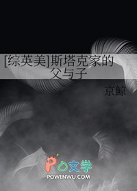 [综英美] 斯塔克家的父与子